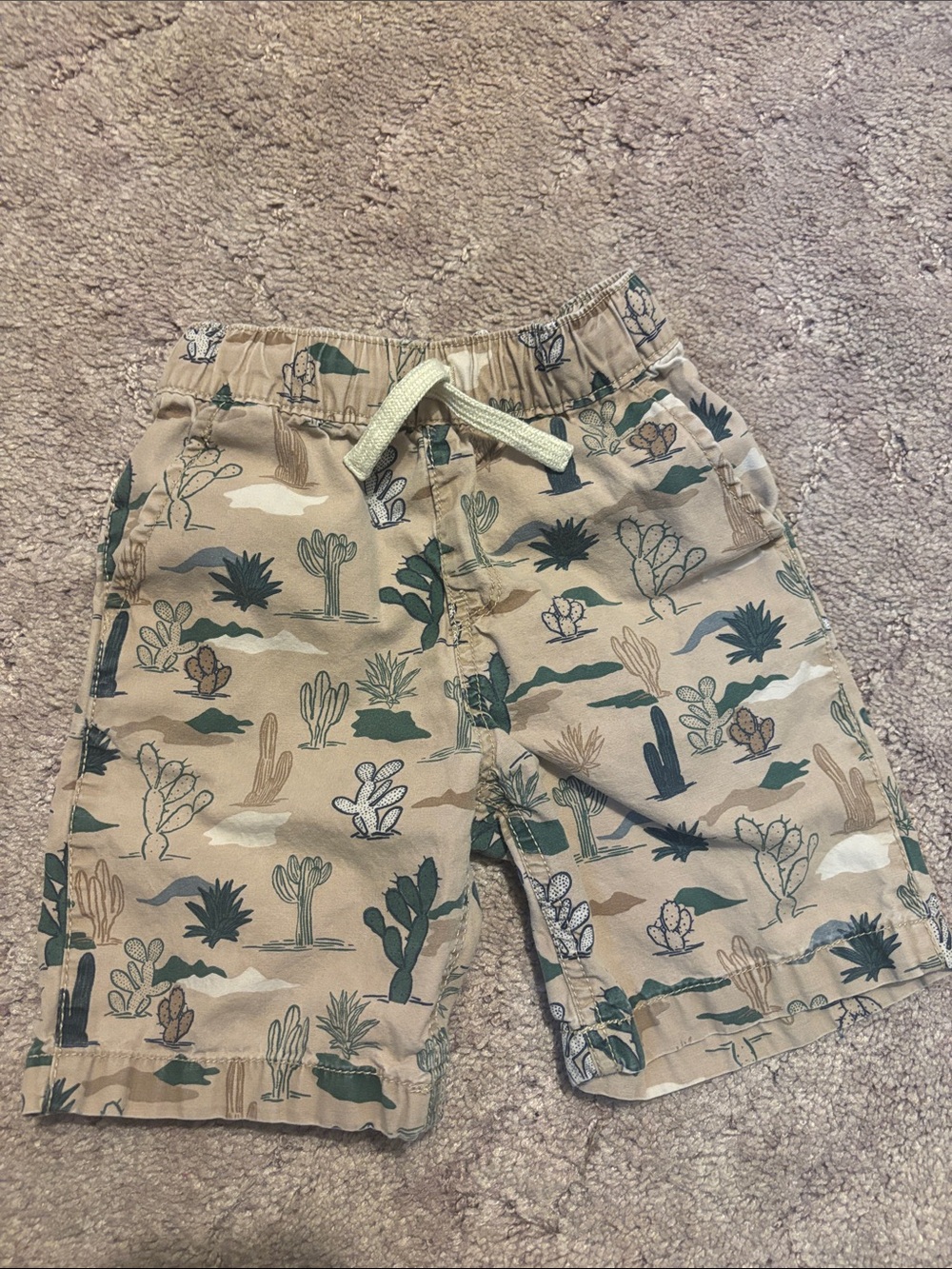 The Children’s Place Desert Cactus Print Toddler Shorts - Beige & Green